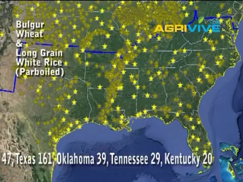 Bulk Wholesale Wheat, Wheat Exporter Supplier, Wheat Suppliers Bulk, Wheat Trading Companies