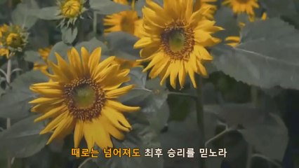 여기에 모인 우리 (Korean Worship Music)