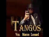 Cantante de Tangos -