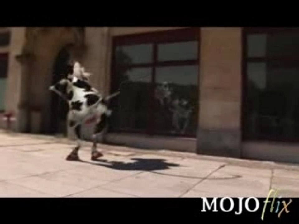 délire vache