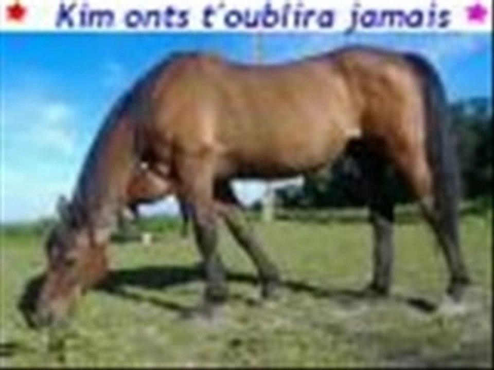 Kim on t'aime