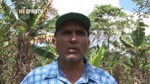La Gran Historia - Crisis del café en Nicaragua