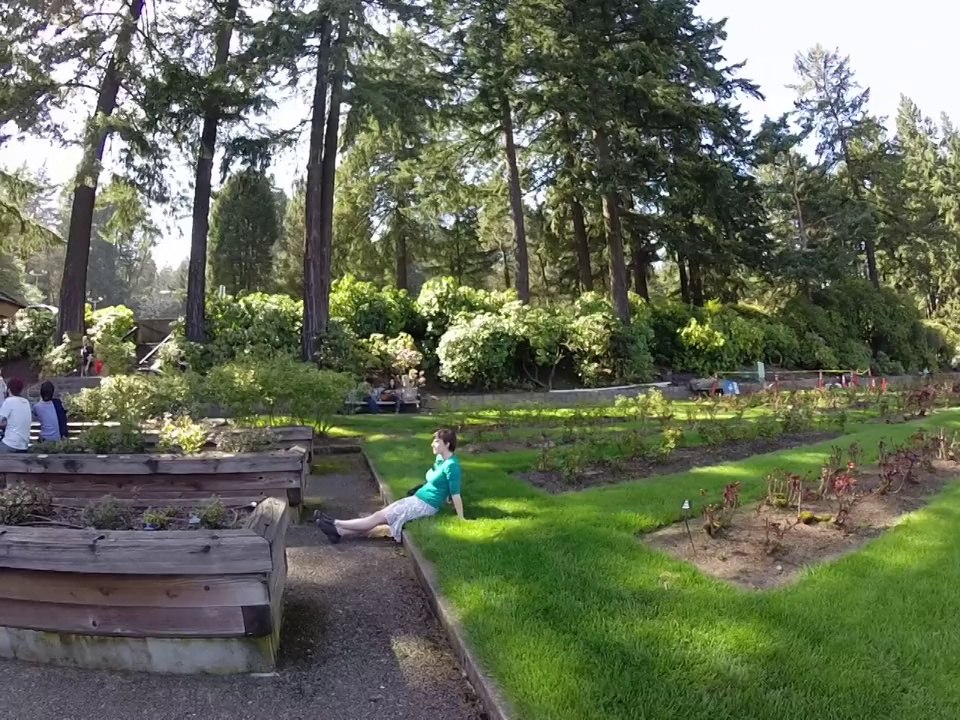 Washington Park 2
