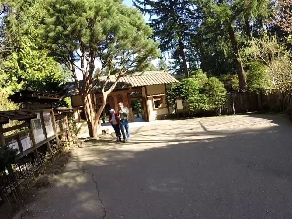 Washington Park 7