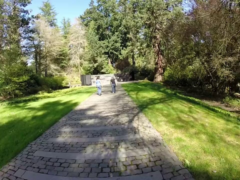 Washington Park 6