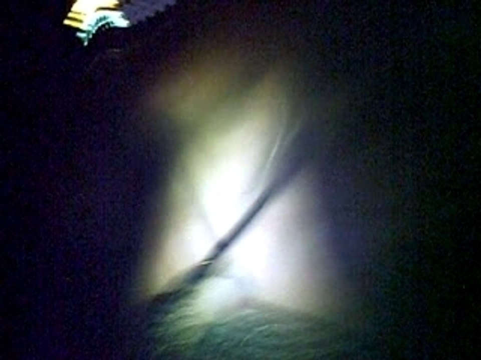 CLIP0008