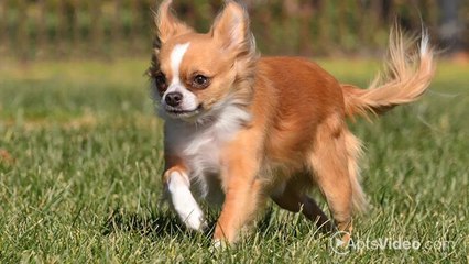 Ardenwood Station Apartments in Vancouver, WA - ForRent.com