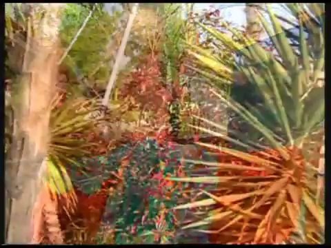 Selda Bağcan- Dön Gel Birtanem.