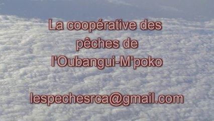 coopérative des pêches de l'Oubangui-M'poko mission mars 2014