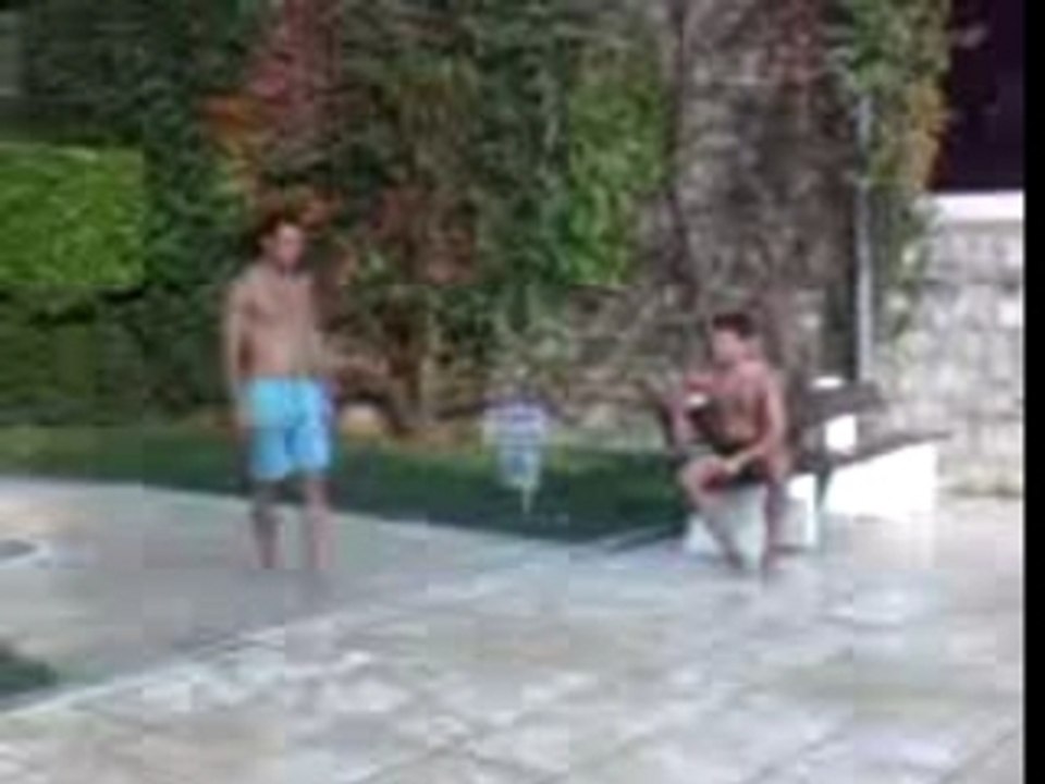 david