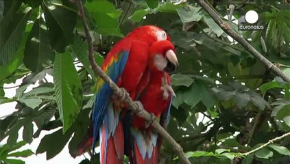 Le Zoo de Vincennes fin prêt à rouvrir ses portes