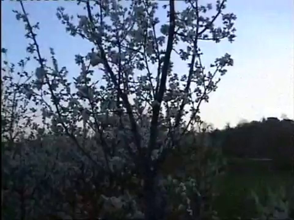 yar hasreti çeke çeke