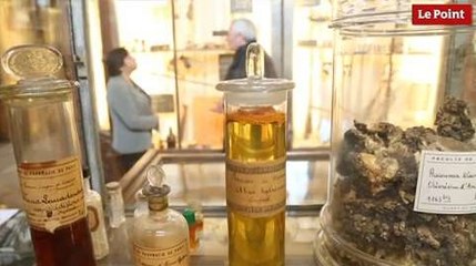 Les incroyables trésors de l’Histoire : les fioles de curare du médecin Claude Bernard