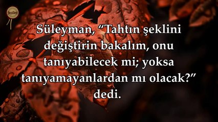 27 Neml Suresi - Nasser al Qatami