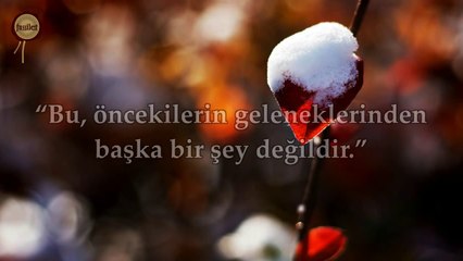 26 Şuara Suresi - Nasser al Qatami