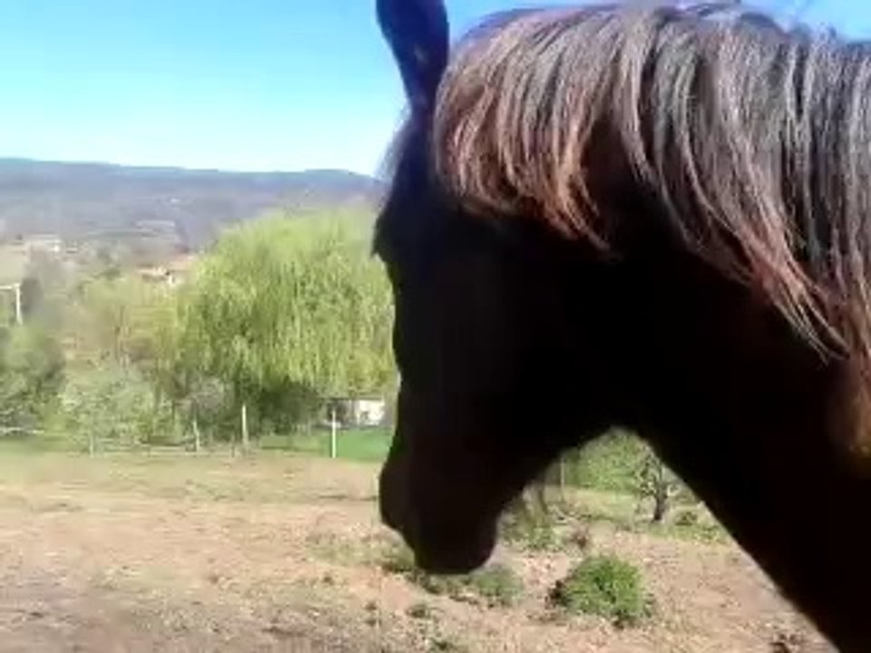 video-2014-04-09-12-17-20