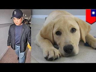 Outrage: seeing-eye dog blinded, man sentenced