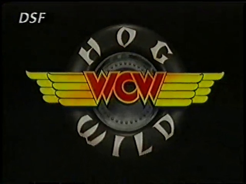 Hog Wild 1996 - German - Part 1