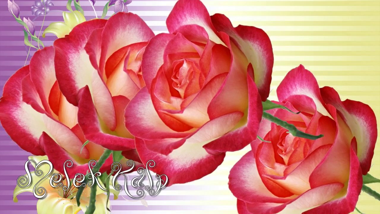 Ferhat Göçer - Biri Bana Gelsin