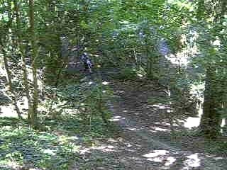 ROUE ARRIERE RM + YZ