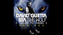 David Guetta Feat Sia - She Wolf (Falling To Pieces) (DJ Romani Remix)