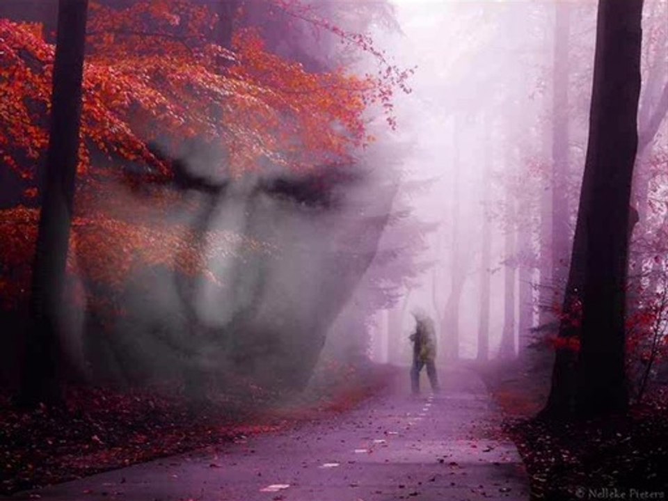 teyfik doğan- neden