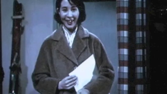 Le cinéma japonais - Les extraits de films projetés pendant la conférence de Nicolas Thévenin