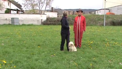 Simulation CSAU Belle CCF