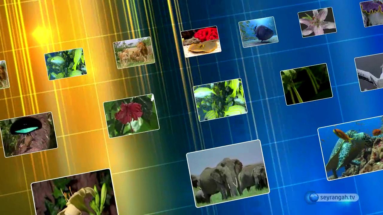 20- Azalar delili (Yaratılış Delilleri)