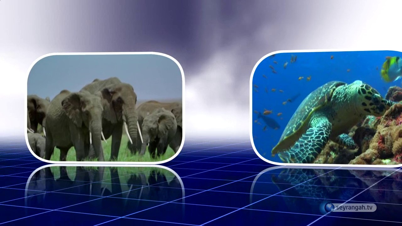 22- Parça bilinmeden bütün yaratılamaz (Yaratılış Delilleri)