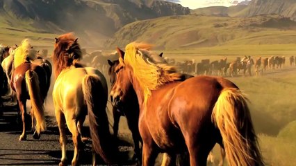 Travel to Patagonia - "The Land of Fire & Ice"