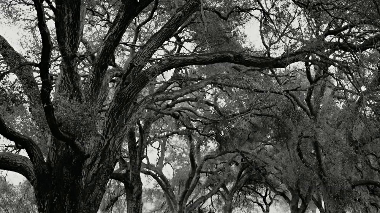 RICARDO ARJONA - apnea HD