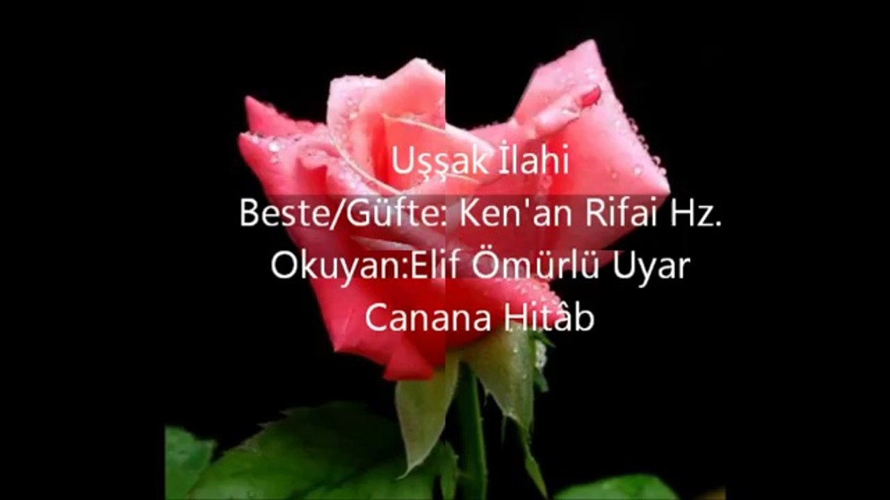 Seni Sevdim Kimi Sevdim İse... Elif Ömürlü UYAR