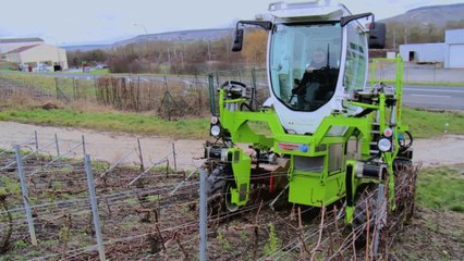 Viticulture : l'électrique arrive dans les vignes