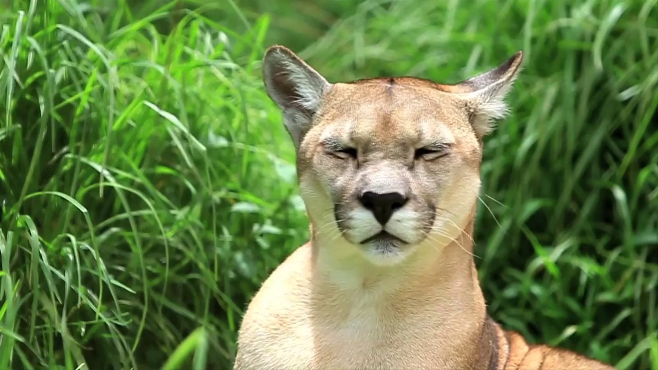 Patagonia Argentina - Take A Patagonia Overland Safari with Jeep® & Quasar Expeditions