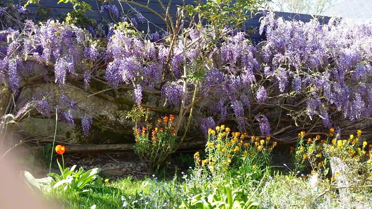jardin aujourd'hui