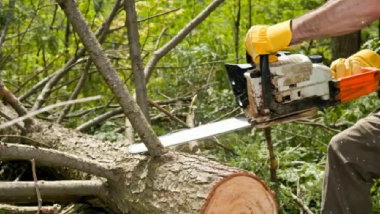 Solid Oak Tree Service (724) 712-7807