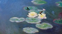 Humming Bird on the Painting of Monet's waterlily