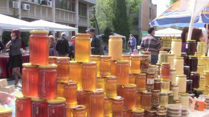 Romanian bees still creating a buzz in health industry