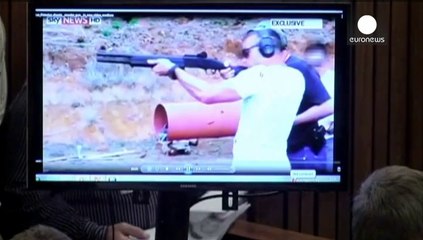 Pistorius challenged in court over watermelon scene at firing range