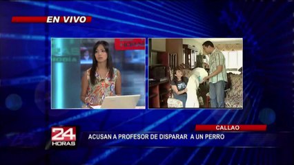 Perro herido por profesor de la UNMSM se recupera lentamente