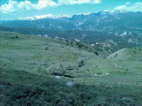 HAYRETTİN TARHAN ELİFE MUŞ YAMAÇ KÖYÜ KERRAN