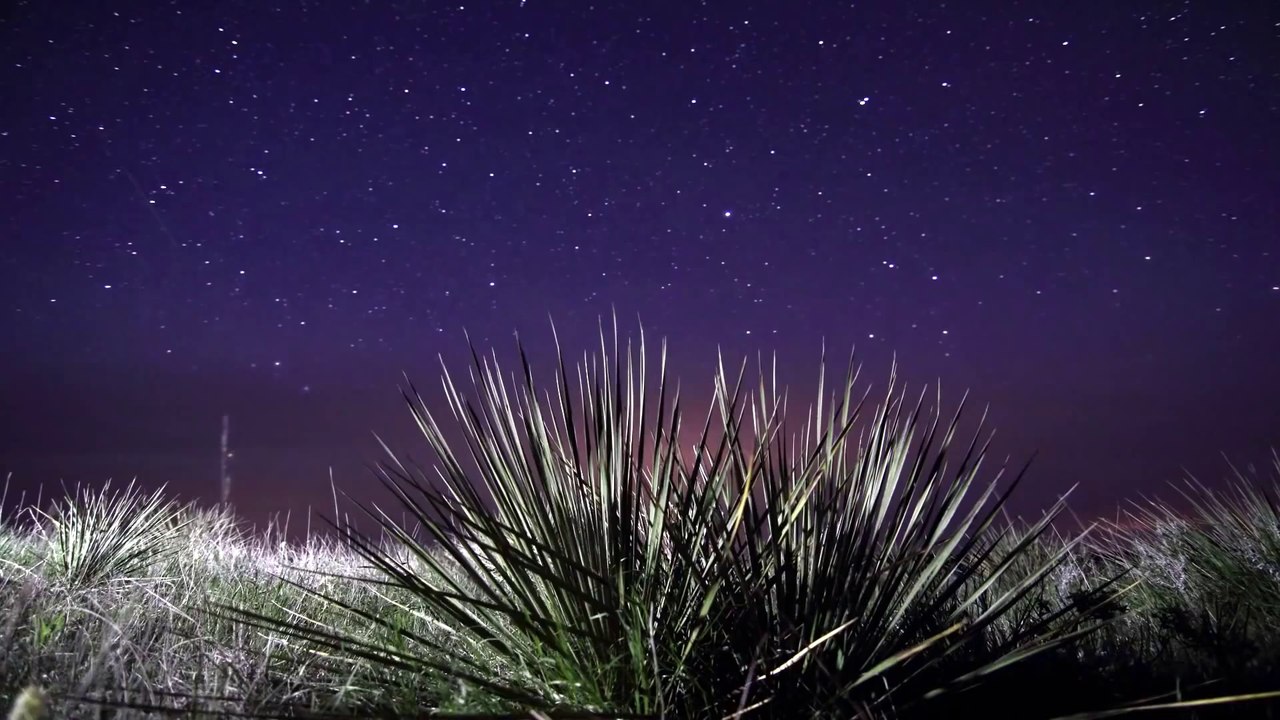 Night Sky