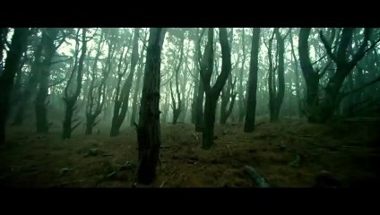 Stream Evil Dead hd complete.