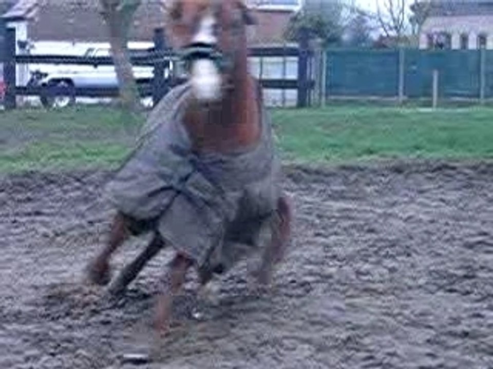 Roulade et pétage de plombs bis