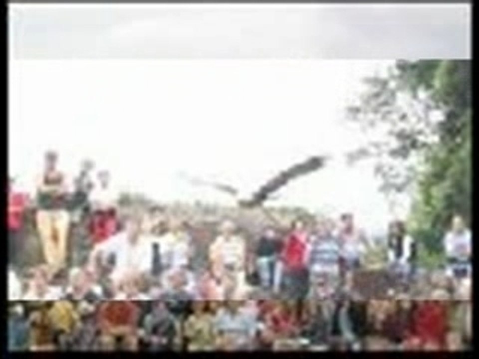 aigles