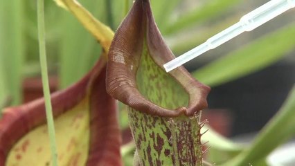 The world of Nanoscience