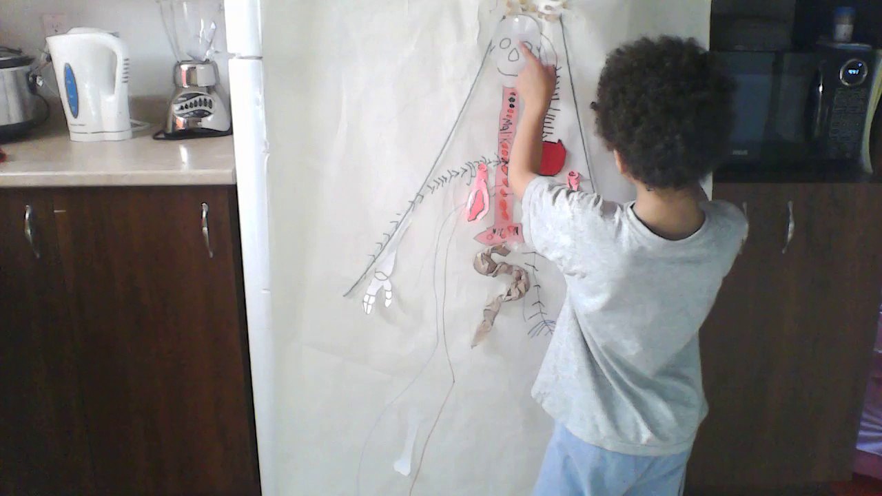 Malik et le corps humain - 5 ans