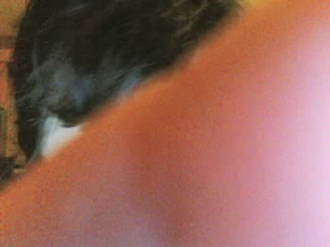 Dream: Blood of the Saints, Lord the true vine and beleiver the branch