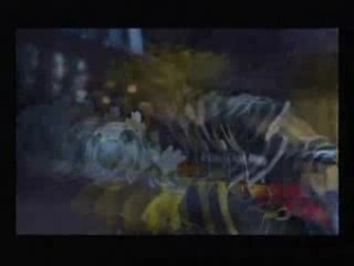 Kingdom Hearts 2 A bit hyper , no ?